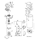 Diagram for 1 - Body Parts